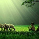 Драматическое искусство в чудесных фотографиях Sukron Mamun