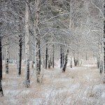 Секреты зимней фотосъемки.