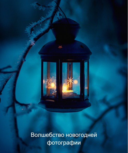 Фотография из подборки
